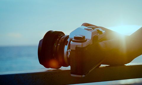 株式会社シープラスの事業紹介