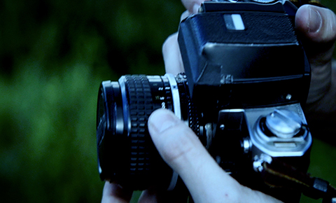 株式会社シープラスの会社概要